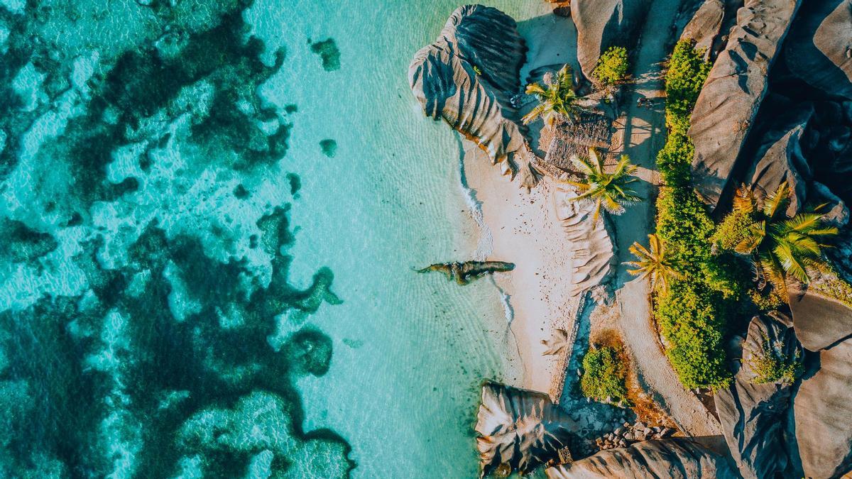 Se compran una isla por una curiosísima razón.