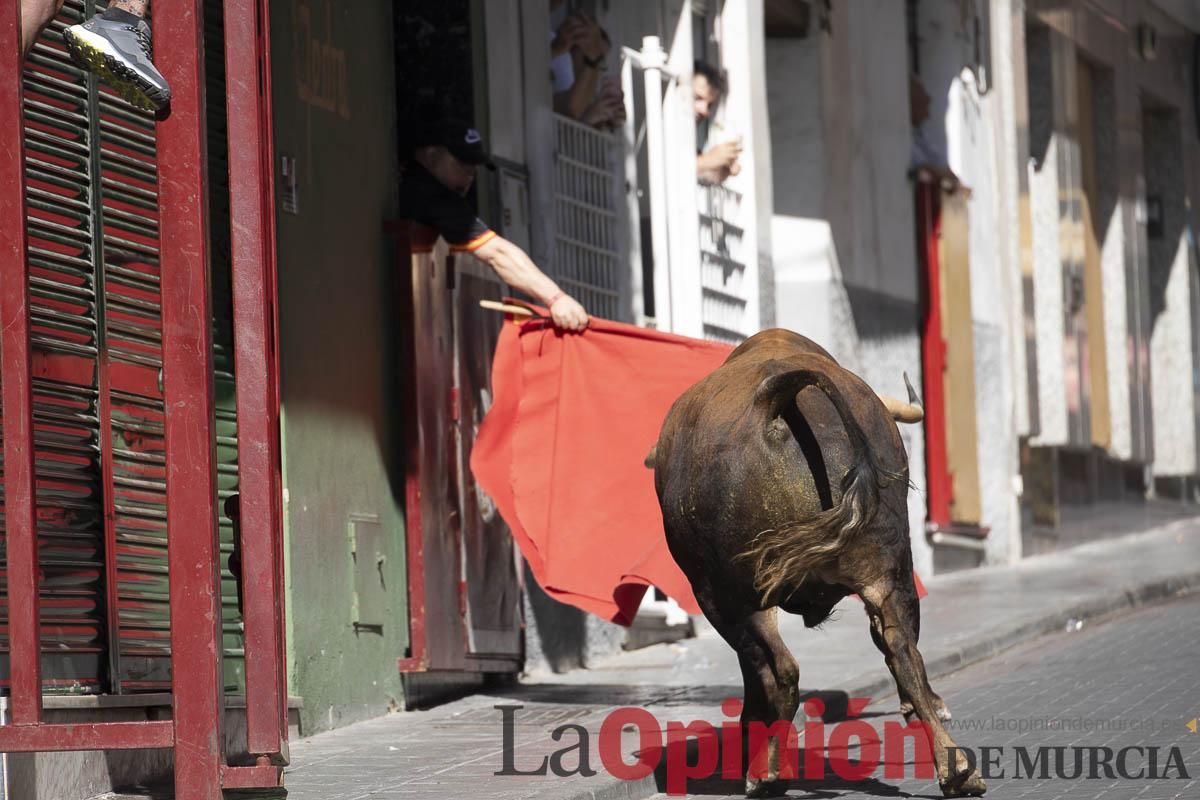 Tercer encierro de las Fiestas de Moratalla