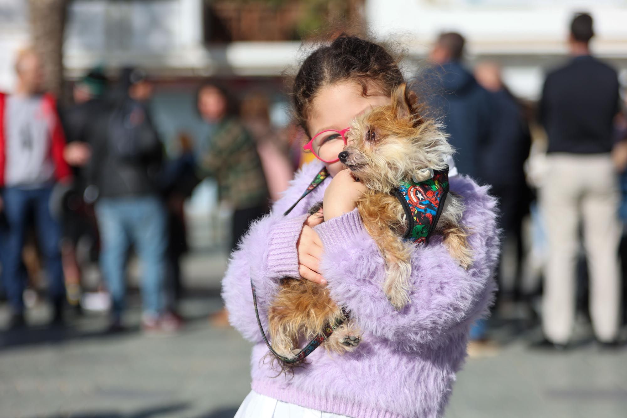 Todas las imágenes de la bendición de animales y el día grande de las fiestas de Sant Antoni