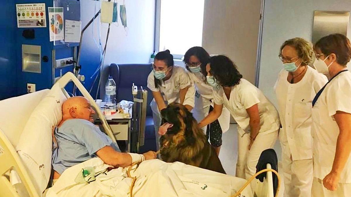 Visita de un perro a su dueño, ingresado en el Hospital Santa Lucía de Cartagena. | L.O.