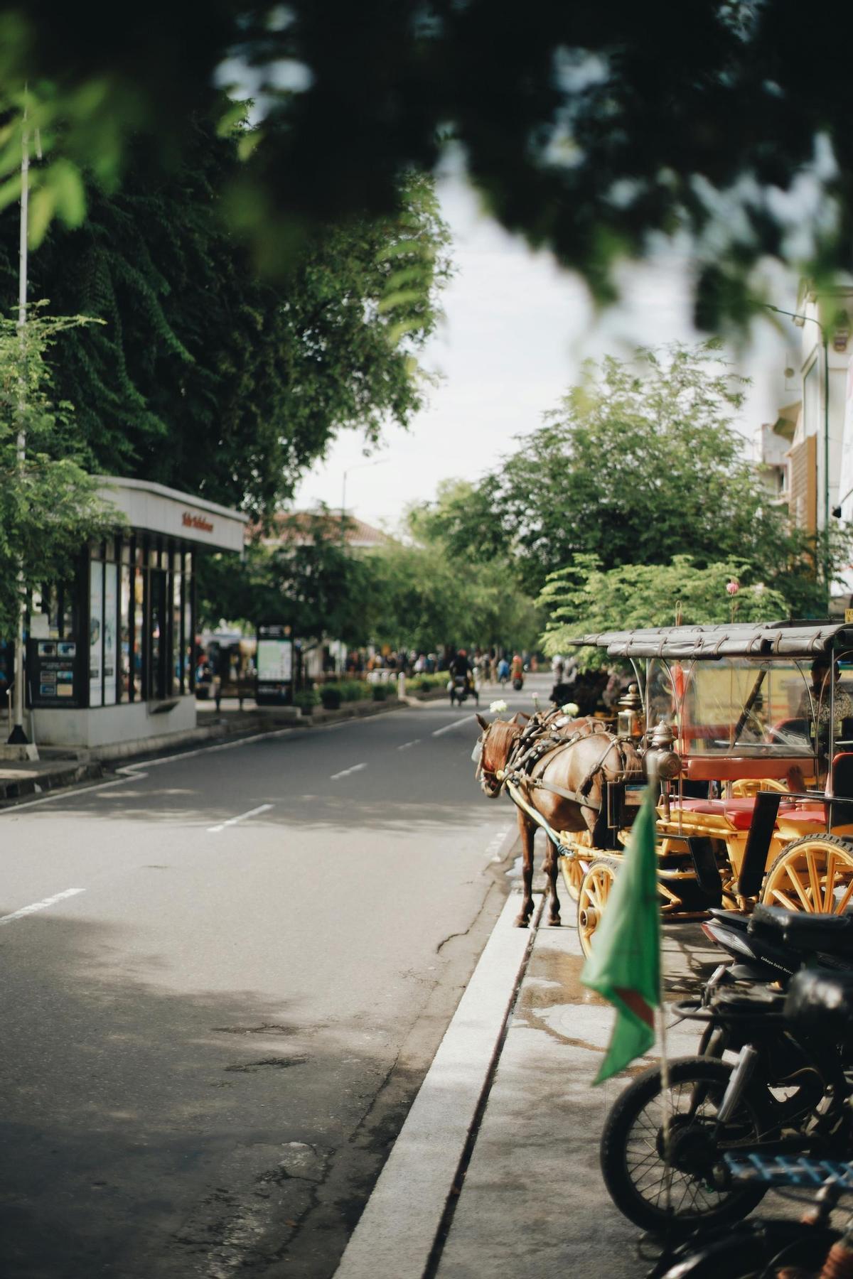 Yogyakarta, conocida como Jogja, conserva todo el encanto de la antigua Java