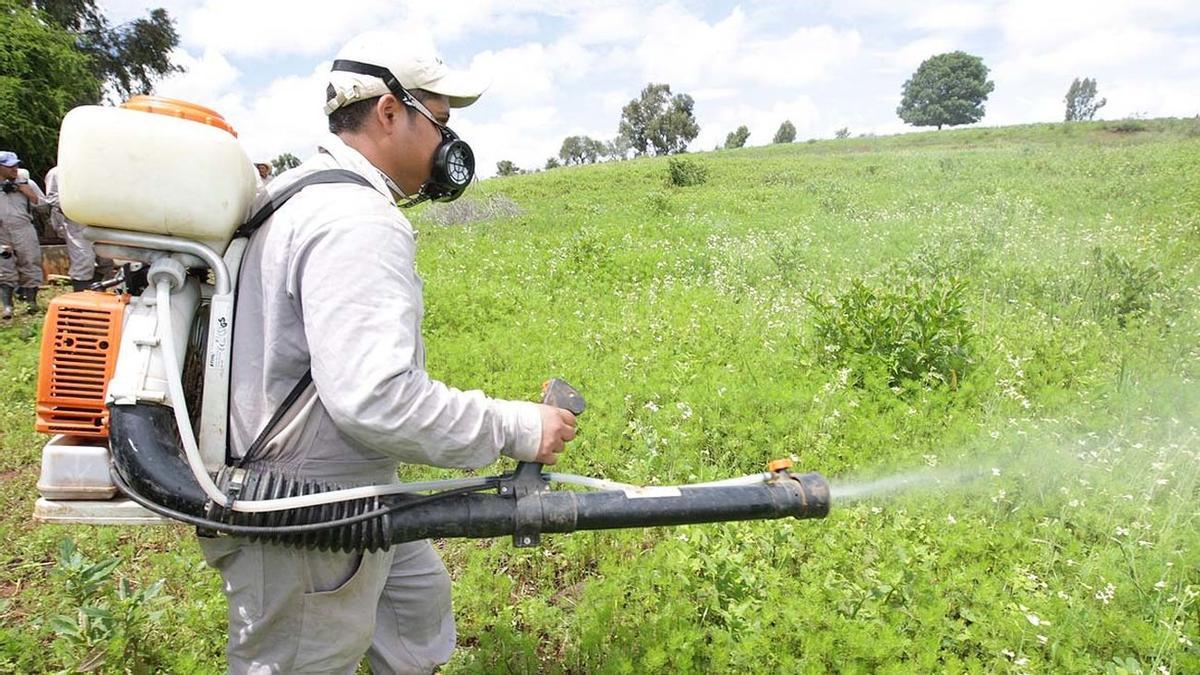 Labores de fumigación en terrenos de cultivo.