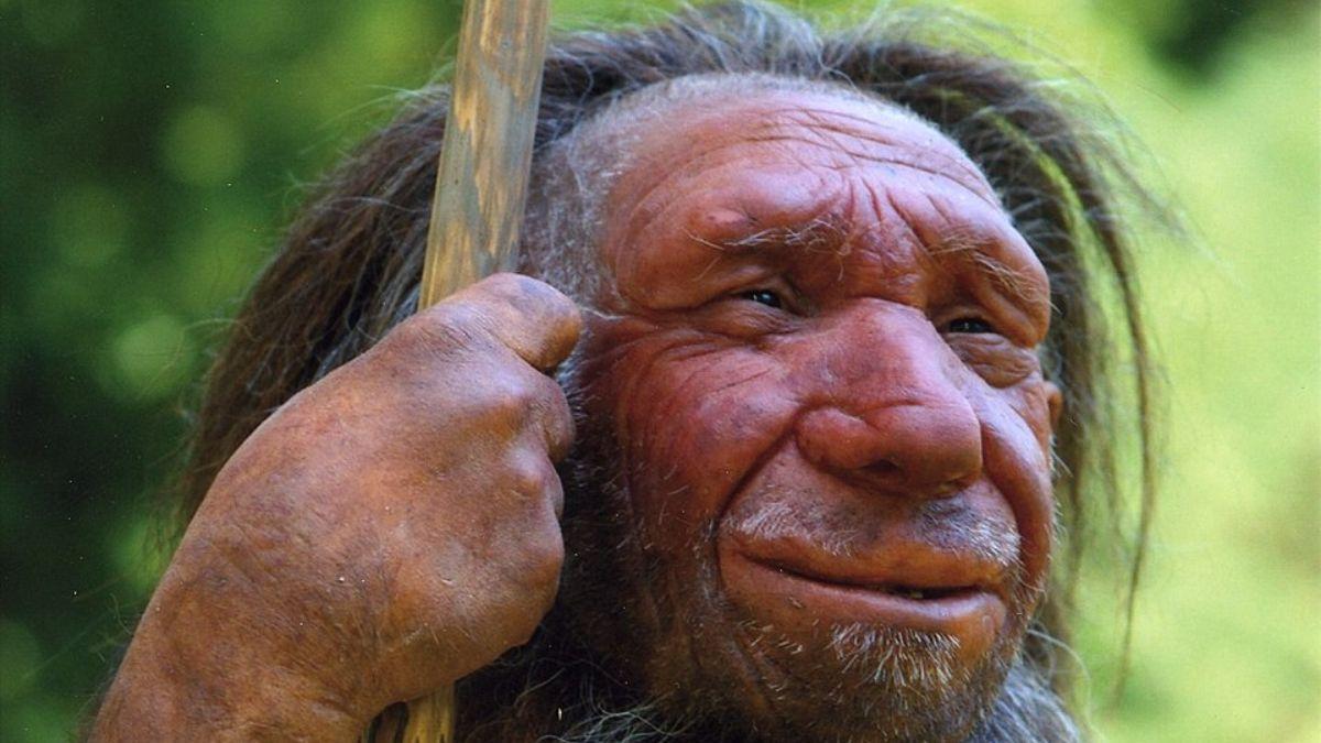 Nuestros rostros están ligados a viejos genes neandertales.