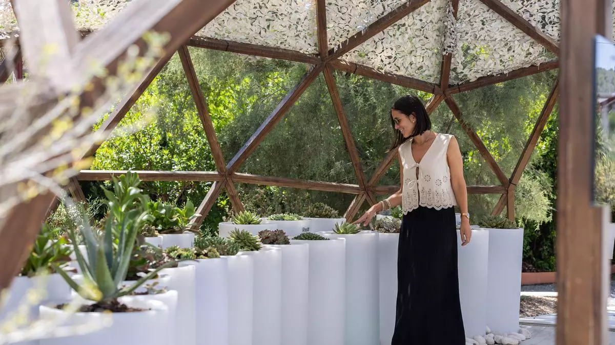 BiBo Park: naturaleza que inspira, tecnología que sorprende