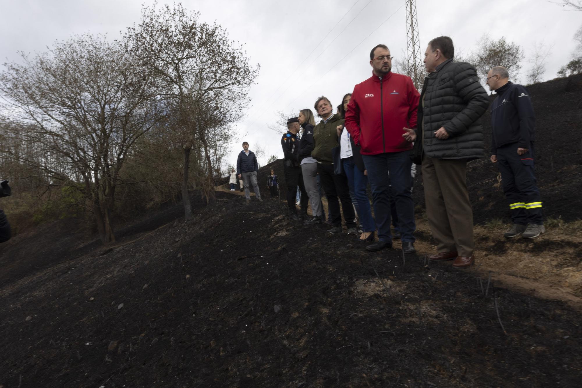 El aspecto del Naranco tras unos incendios históricos