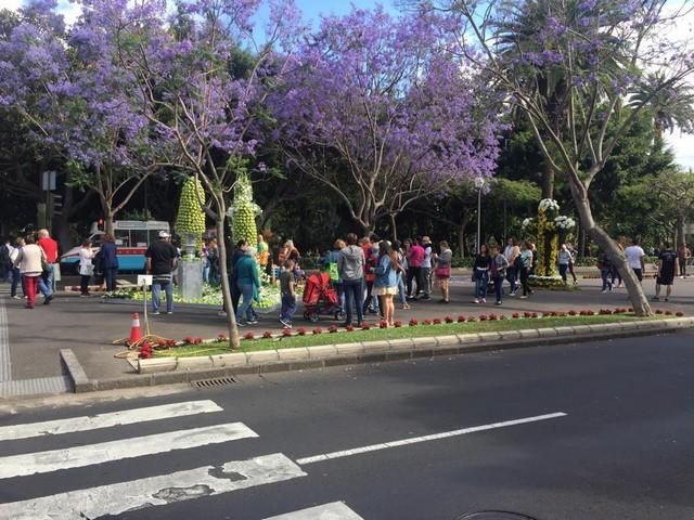 Concurso de Cruces de Flores Naturales