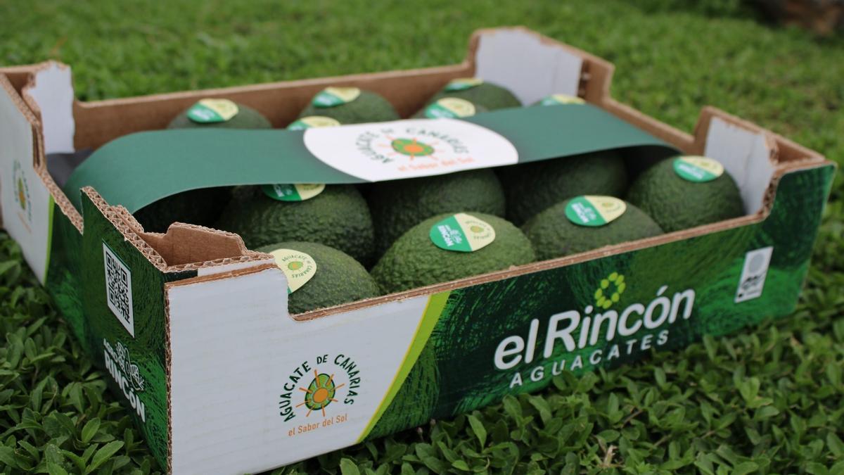 Caja de exportación.