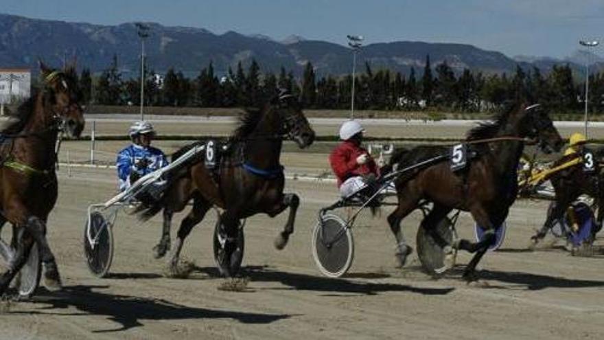 Dafi RS (5), con Guillem Andreu, en su desmontada de salida tras el autostart.