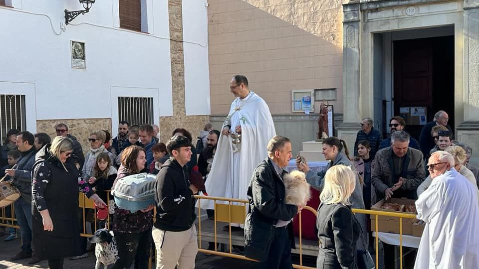 Daimús, Guardamar, Xeraco, l'Alqueria, Piles y Xeraco se vuelcan con Sant Antoni