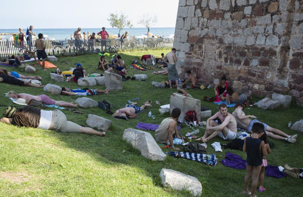 Ambiente de Rototom