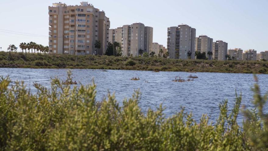 El Consell saca a información el plan para integrar el Saladar de Agua Amarga en la vía Vinaroz-Pilar de la Horadada