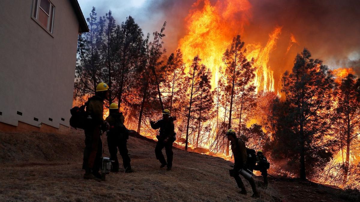 incendio forestal