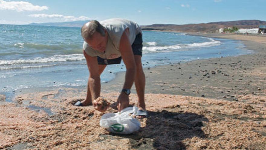 Juan Noda Curbelo recogiendo camarones en la playa de Tarajalejo, ayer. i CARLOS DE SAÁ