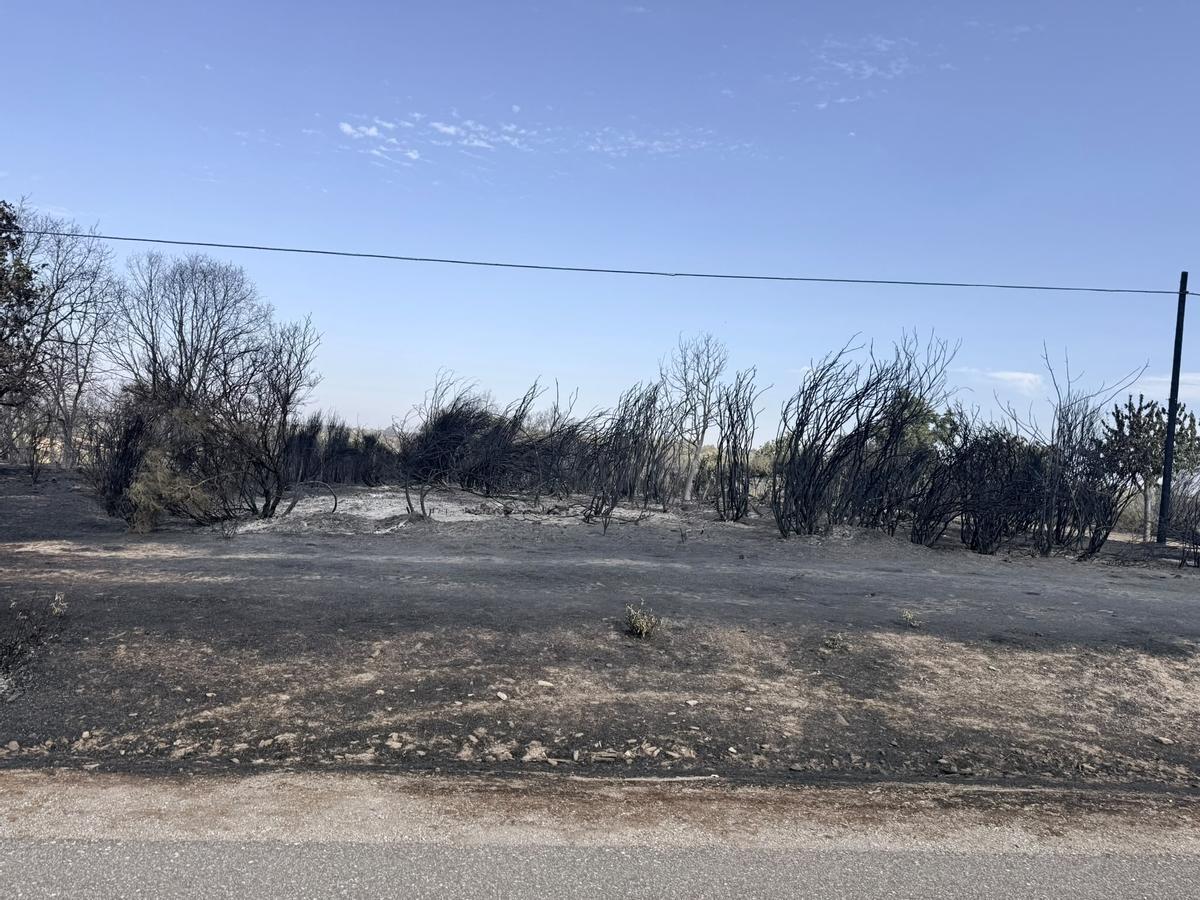 Zona quemada por el incendio en Rábano de Aliste