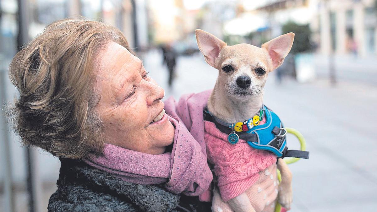 El chihuahua Donut junto a su dueña, Nico Bazaga.