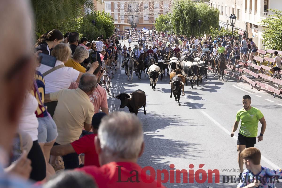 Sexto encierro de las Fiestas de Moratalla