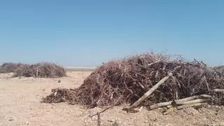 Los agricultores advierten de que no se puede prohibir la quema en plena poda de cultivos