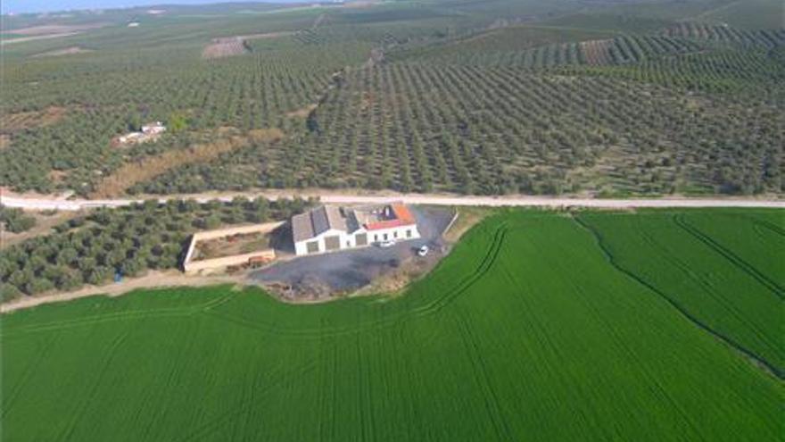 La Campiña cordobesa descubre su historia bajomedieval gracias a un estudio de la UCO