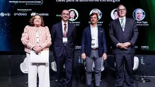Las grandes eléctricas cuestionan las ayudas al gas y los carburantes: "Fomentan el consumo de los combustibles que provocan la volatilidad"