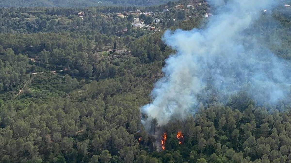 Un incendi forestal crema a la Palma de Cervelló