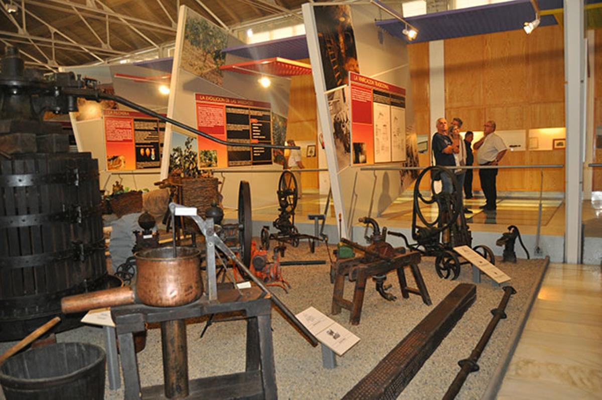 El Museo del vino de la DOP Cariñena