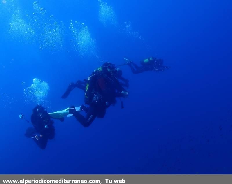 Submarinismo en Castellón