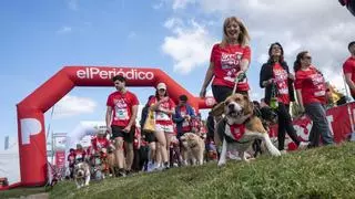 Más de mil corredores con sus perros toman la cuarta edición de Can We Run en Barcelona