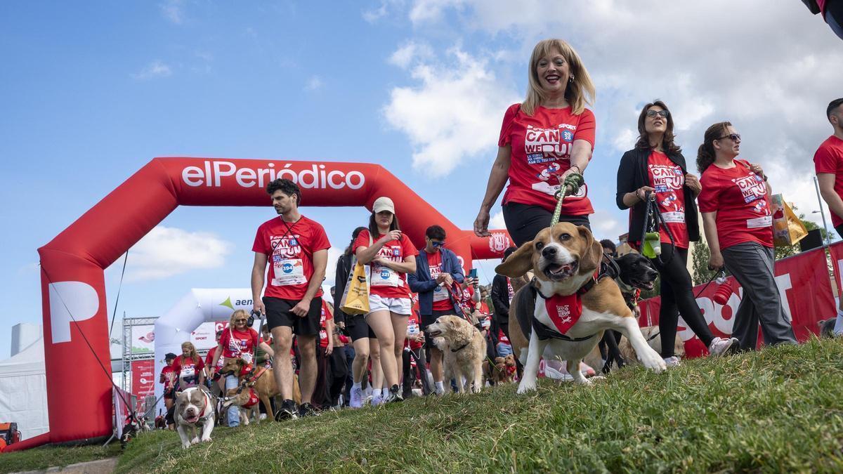 Más de mil corredores con sus perros toman la cuarta edición de Can We Run en Barcelona