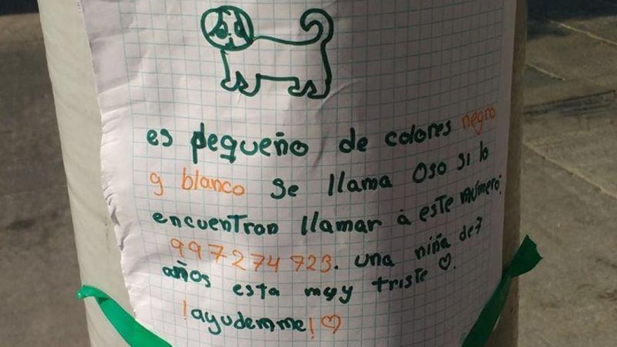 El tierno cartel de una niña para buscar a su perro perdido