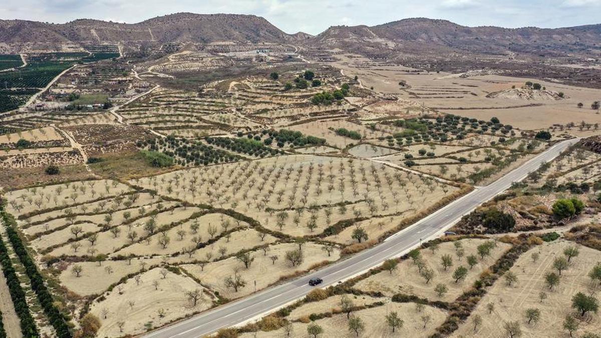 Terrenos propuestos por la UTE para ubicar la planta comarcal de tratamiento de basuras sin vertedero