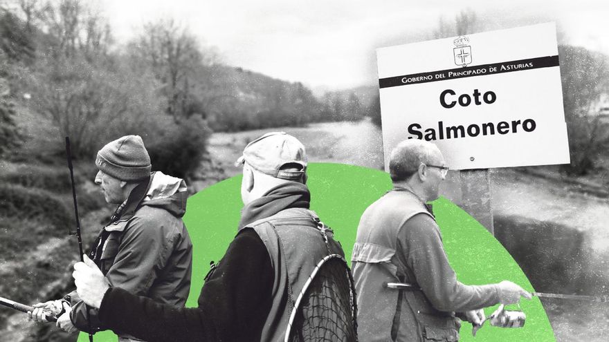 ¿Por qué la actual campaña de pesca del salmón es la peor de la historia? Lo que dicen los expertos