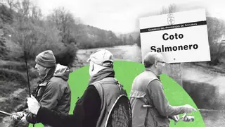 ¿Por qué la actual campaña de pesca del salmón es la peor de la historia? Lo que dicen los expertos