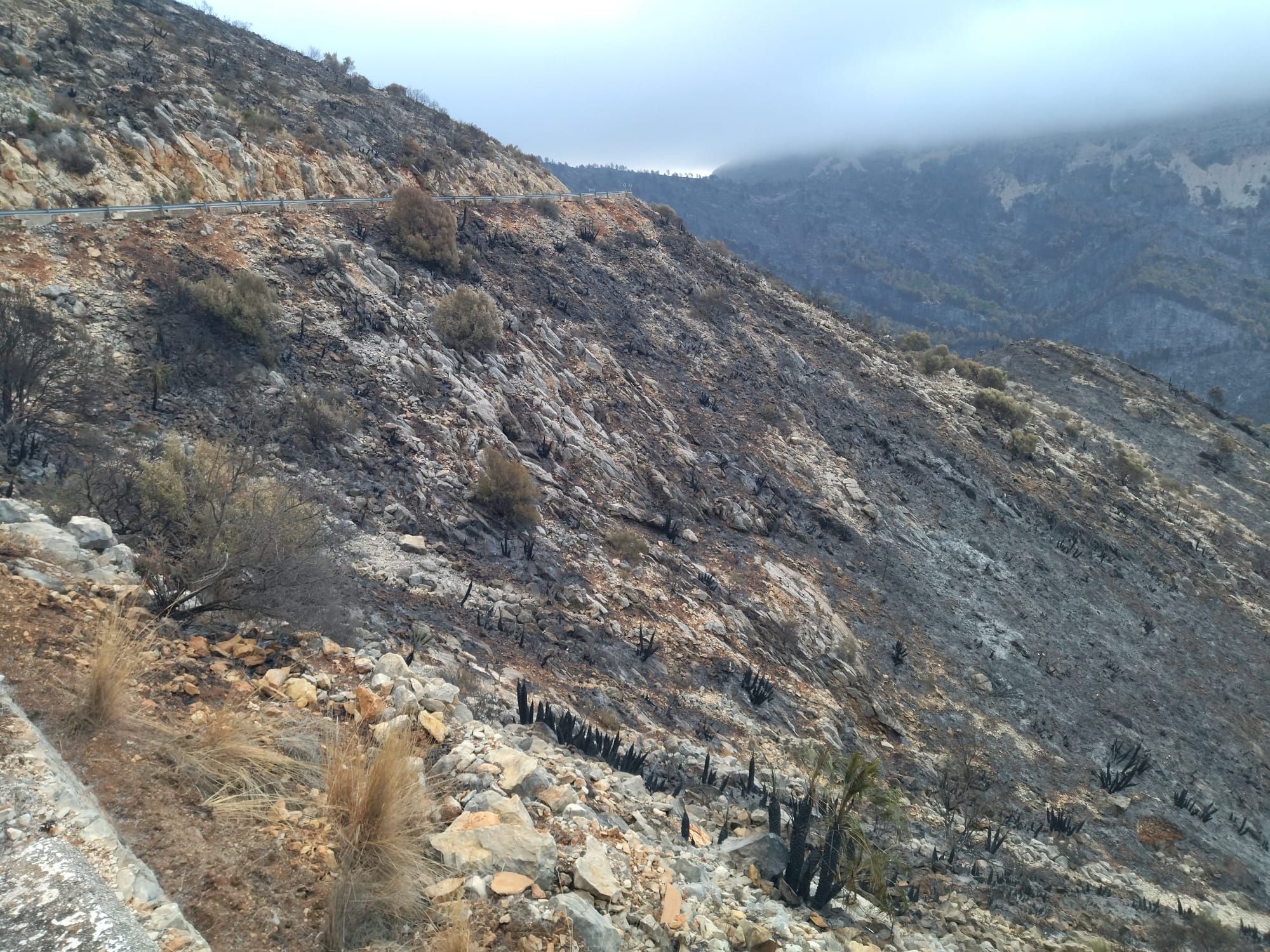 La destrucción del incendio de Tàrbena, en imágenes