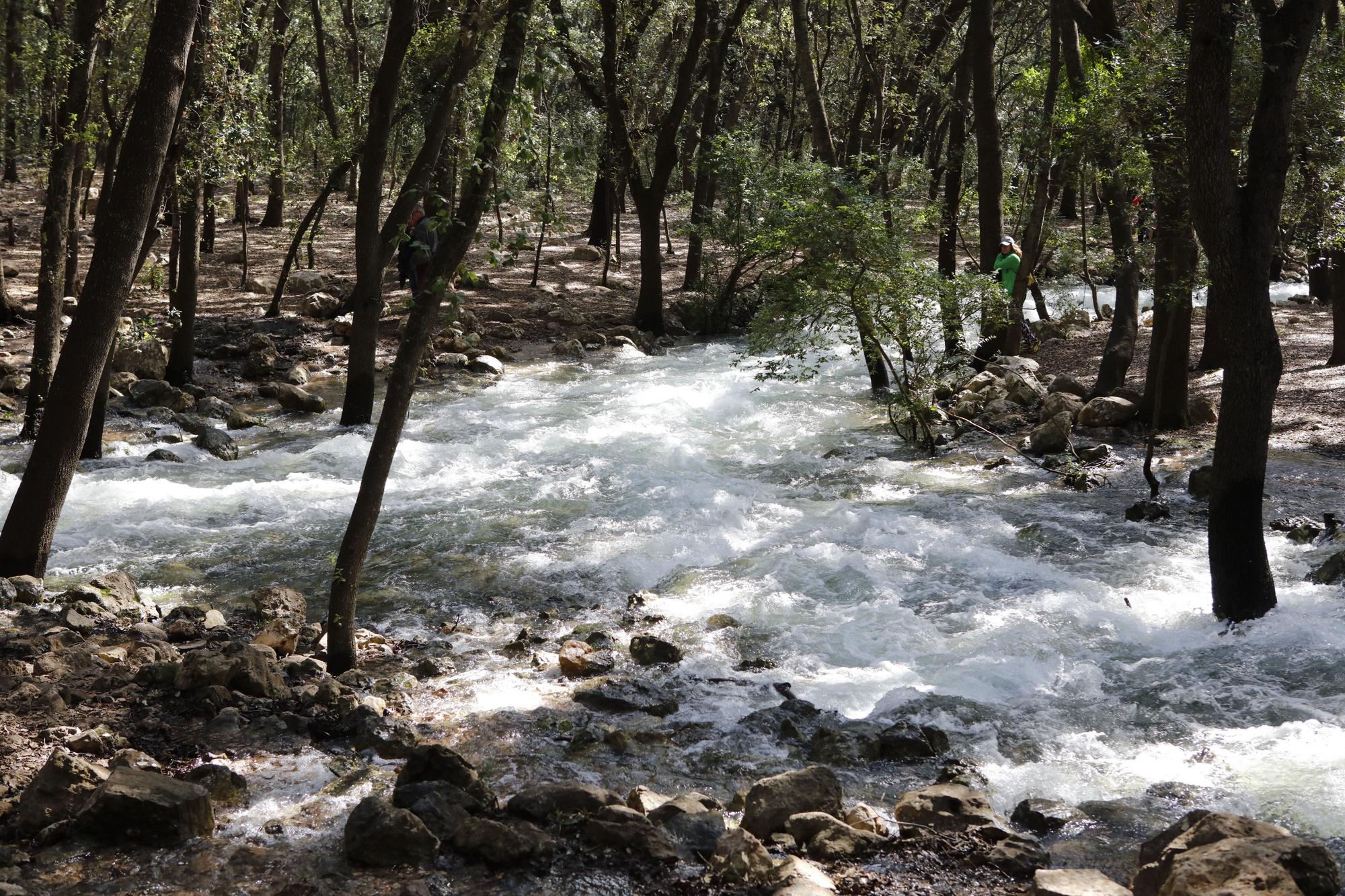 Die Quellen sprudeln wieder: Impressionen einer Wanderung zu Ses Fonts Ufanes auf Mallorca