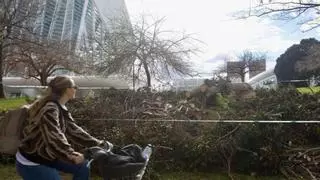 La Aemet confirma cuándo amainará el viento en la Comunitat Valenciana: zonas más afectadas y con rachas más fuertes hoy