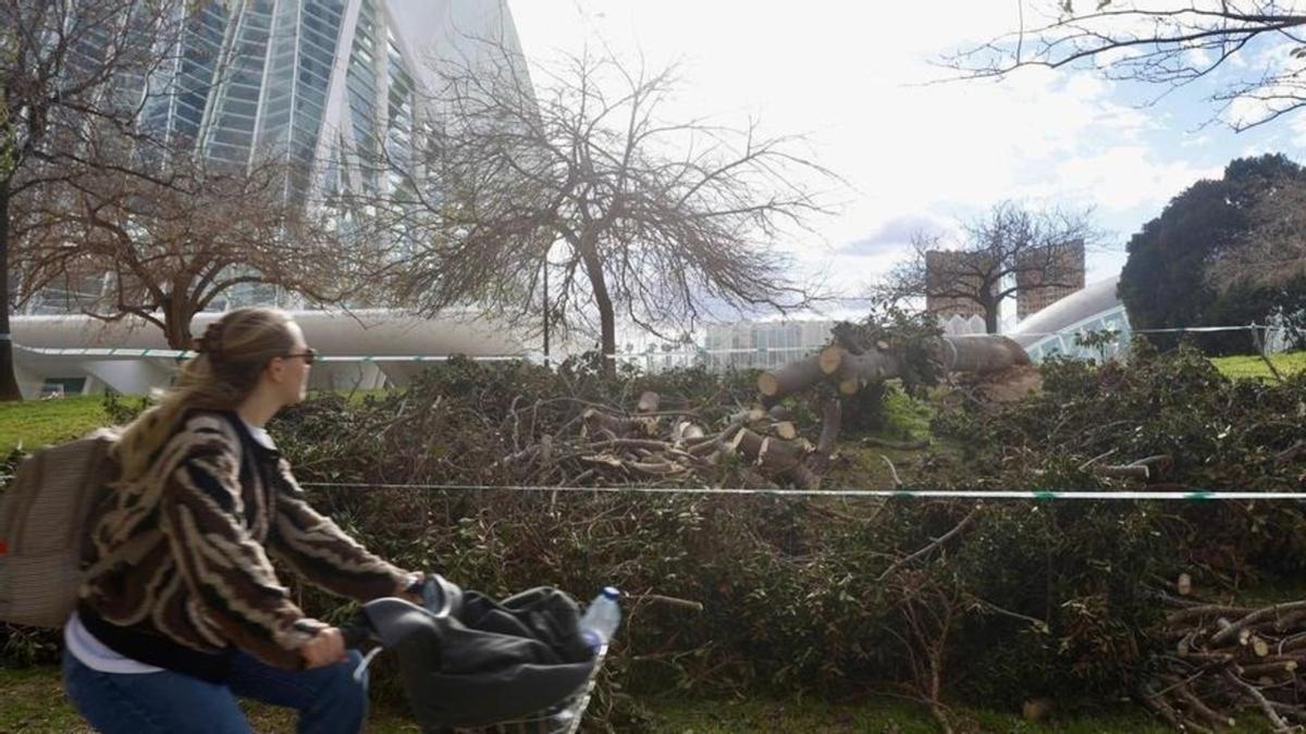El viento continúa azotando la ciudad de València