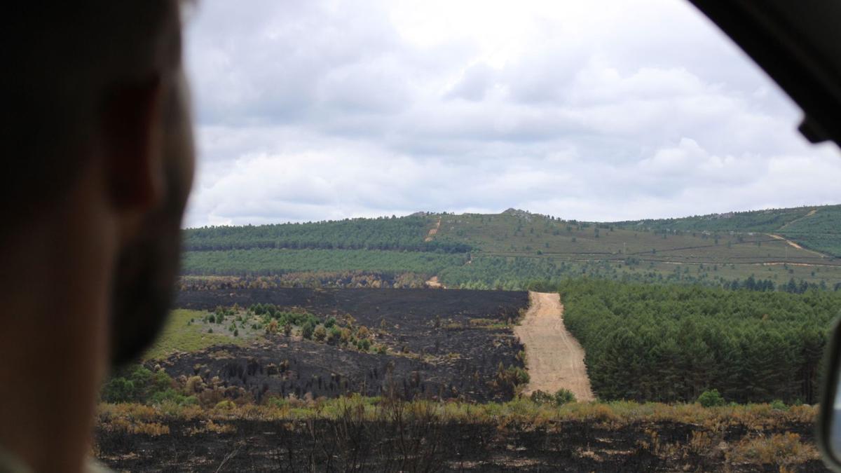 Otro de los caminos de Codesal en la zona del incendio. | A. S. |  ARACELI SAAVEDRA