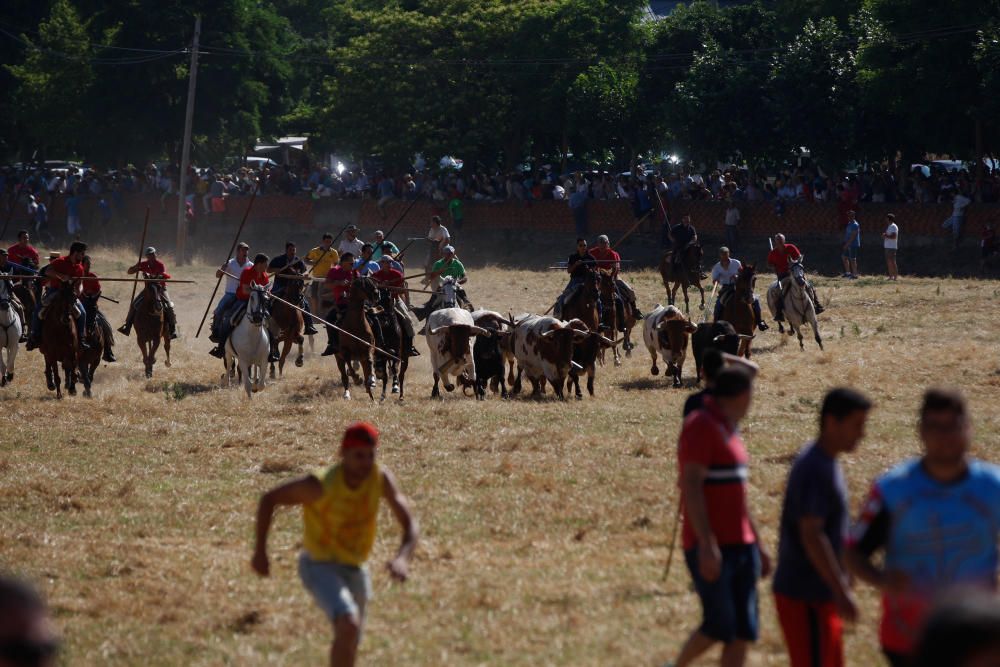 Espantes de Fuentesaúco