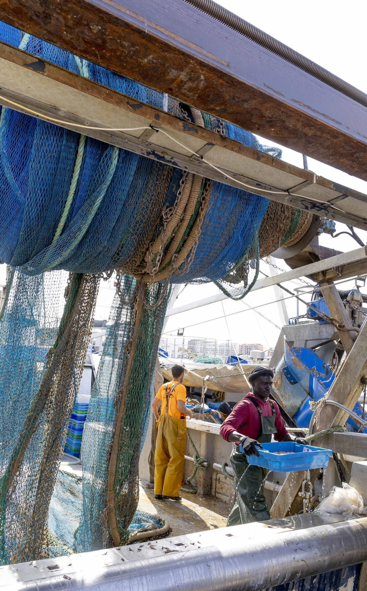 La flota de arrastre de Alicante estrena las nuevas redes impuestas por la UE