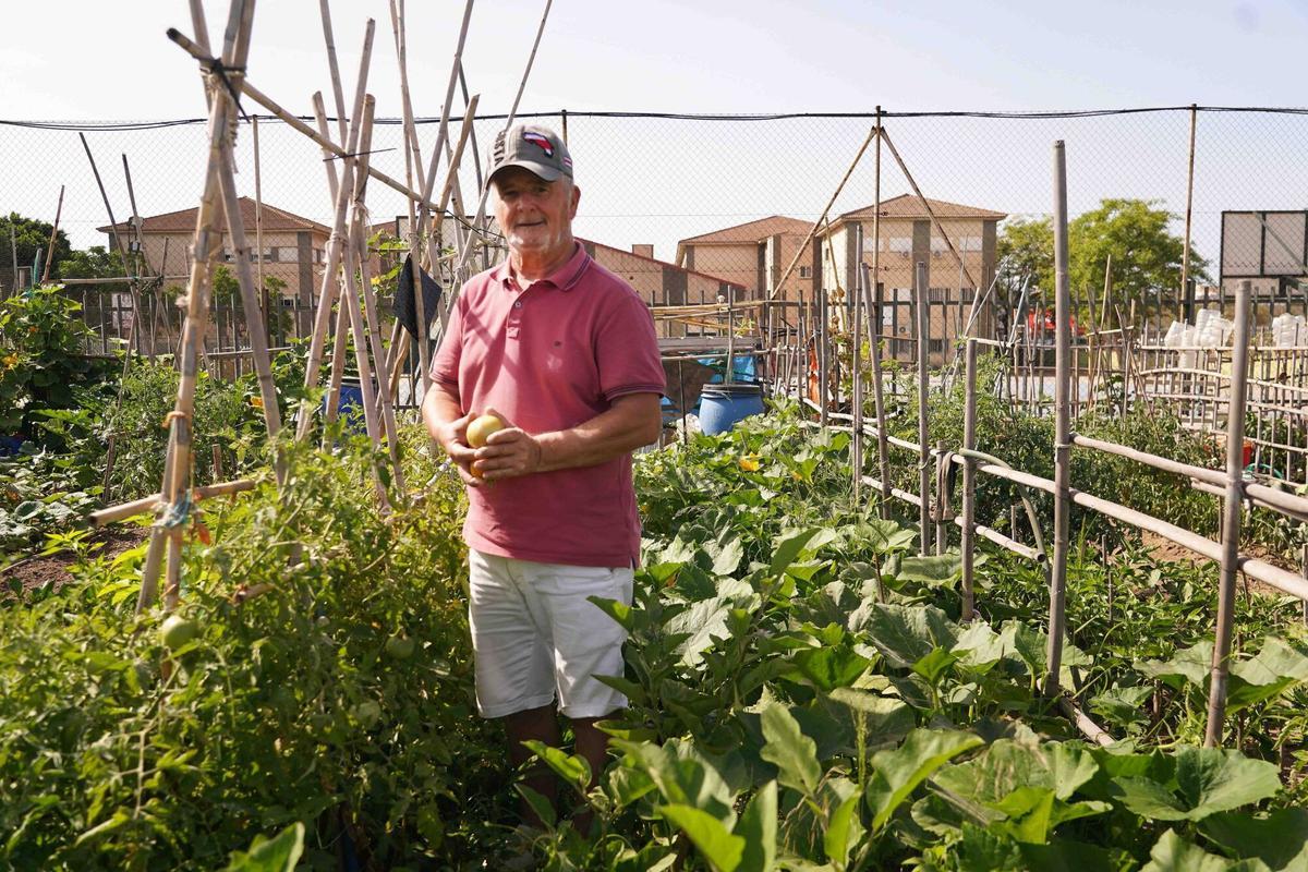 Décimo aniversario del huerto urbano más grande de la capital malagueña.