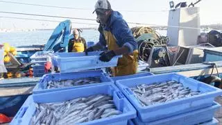 Europa da otro golpe a la pesca de arrastre de Castellón al recortar en otros 15 los días para faenar