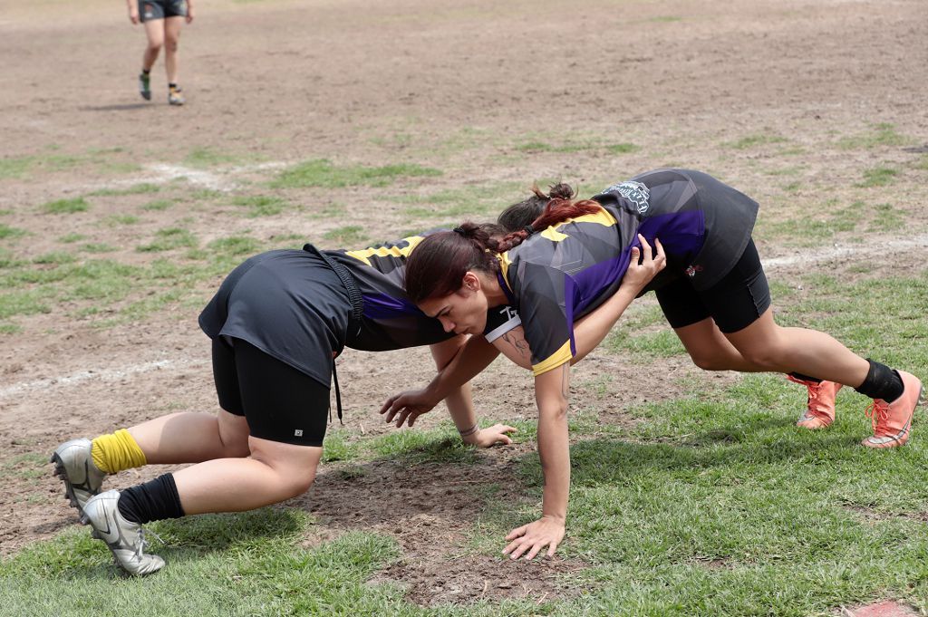 Torneo de rugby