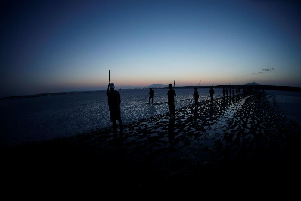 Volunteers wade across the lagoon at dawn to ...