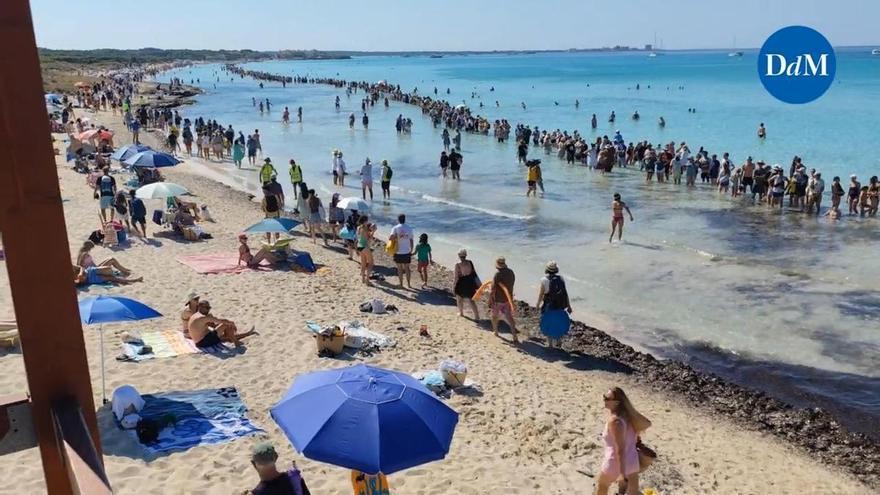 Tausende fordern Schutz des Strandes: So war der Protest am Es Trenc