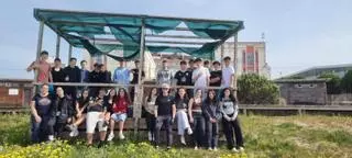 El Colegio Vigo participa en una limpieza de la playa de Rodeira, en Cangas