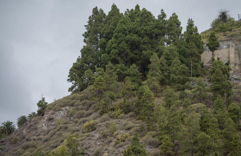 Barranco Guiniguada, en Las Palmas de Gran Canaria