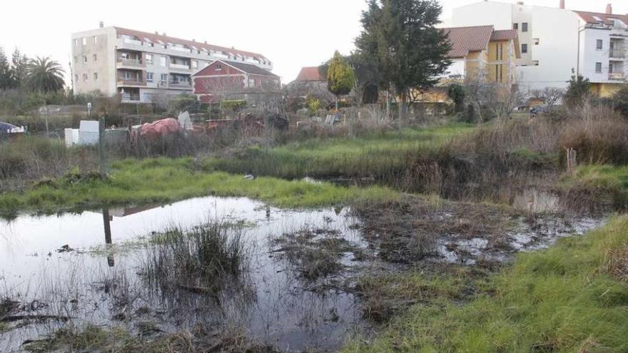 Arriba, la &quot;lagoa&quot; de Vilariño, afectada por los residuos. Abajo, uno de los tubos que vierten al regato y acaban en la playa. // S.Á.