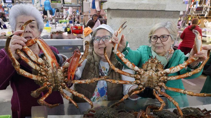 Los primeros «súper centollos» salen al Mercado