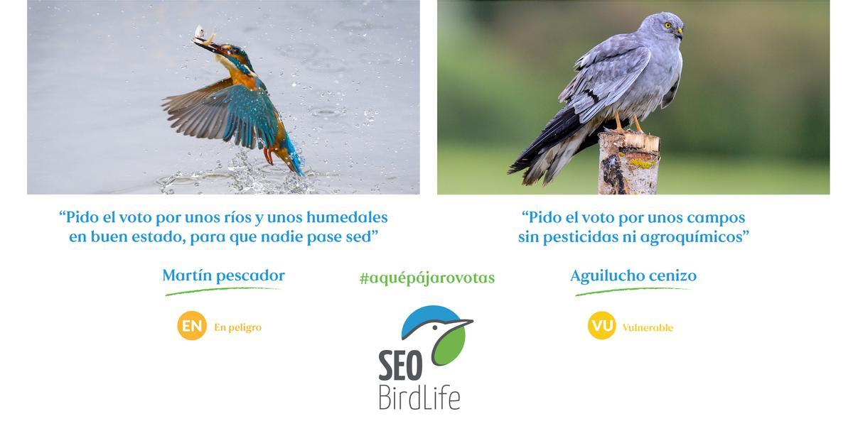 Composición con dos de los carteles de la campaña 'A ver a qué pájaro votas!'.
