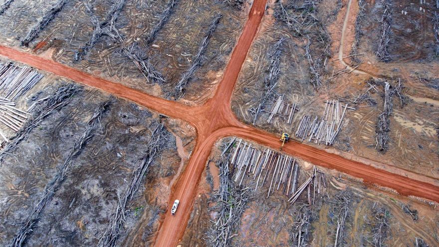 18 países de la UE piden volver a retrasar la ley que prohíbe la ‘deforestación importada’